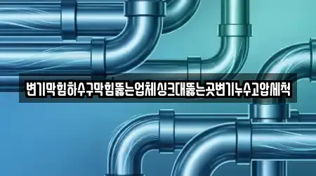 변기막힘하수구막힘뚫는업체싱크대뚫는곳변기누수고압세척