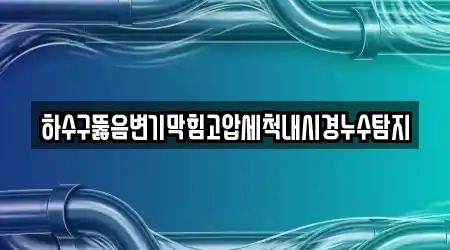 하수구뚫음변기막힘고압세척내시경누수탐지