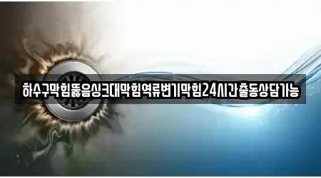 하수구막힘뚫음싱크대막힘역류변기막힘24시간출동상담가능