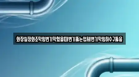 화장실정화조막힘변기막혔을때변기뚫는업체변기막힘하수구뚫음