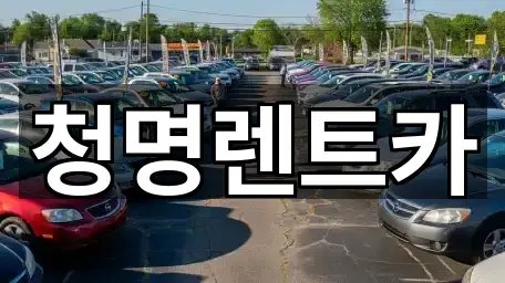 청명렌트카