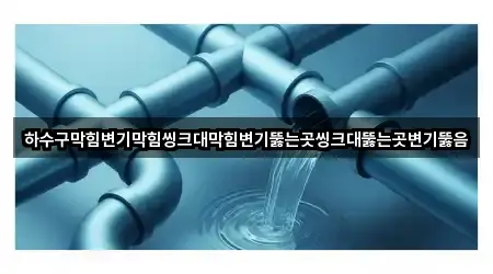 하수구막힘변기막힘씽크대막힘변기뚫는곳씽크대뚫는곳변기뚫음