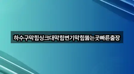 하수구막힘싱크대막힘변기막힘뚫는곳빠른출장