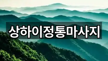 상하이정통마사지