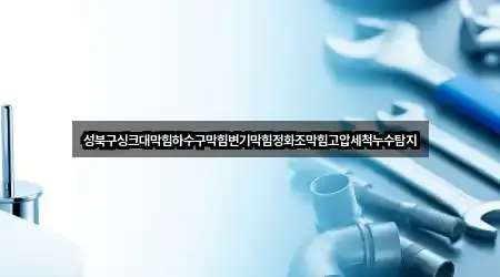 성북구싱크대막힘하수구막힘변기막힘정화조막힘고압세척누수탐지