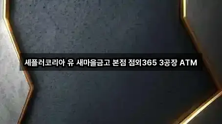 셰플러코리아 유 새마을금고 본점 점외365 3공장 ATM