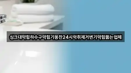 싱크대막힘하수구막힘기똥찬24시악취제거변기막힘뚫는업체