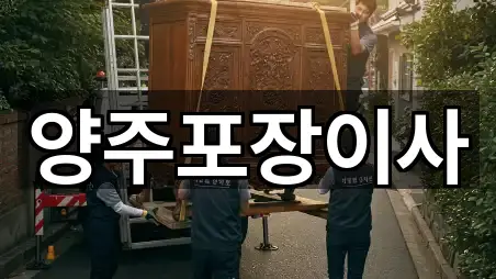 양주포장이사