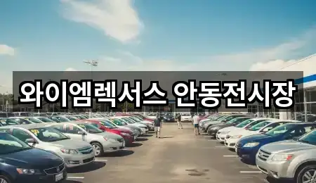 와이엠렉서스 안동전시장