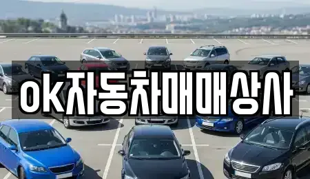 강원 동해시 단봉동 중고차 전문 ok자동차매매상사