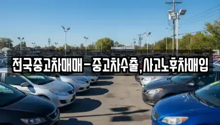 강원특별자치도 속초시 장사동 중고차매입 전문 전국중고차매매-중고차수출,사고노후차매입