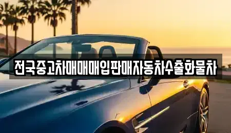 강원특별자치도 속초시 장사동 중고차매입 전문 전국중고차매매매입판매자동차수출화물차