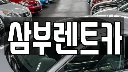 경기 구리시 인창동 렌트카 전문 삼부렌트카