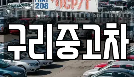 경기 구리시 인창동 중고차매매 전문 구리중고차