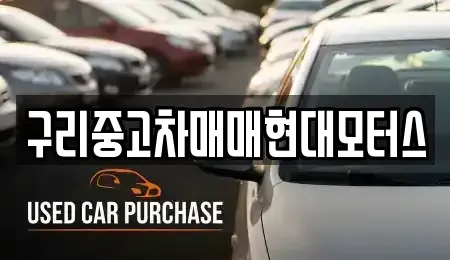 경기 구리시 인창동 중고차매매 전문 구리중고차매매현대모터스