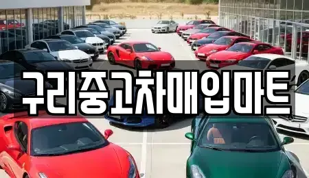 경기 구리시 인창동 중고차매입 전문 구리중고차매입마트