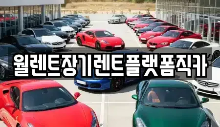 경기 부천시 오정구 대장동 장기렌트카 전문 월렌트장기렌트플랫폼직카