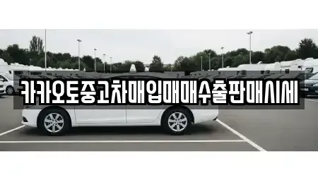 경기 부천시 오정구 대장동 중고차 전문 카카오토중고차매입매매수출판매시세