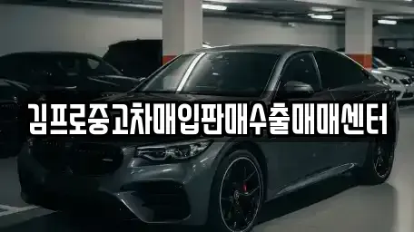 경기 부천시 오정구 대장동 중고차매입 전문 김프로중고차매입판매수출매매센터