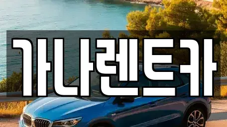 경기 안성시 금산동 렌트카 전문 가나렌트카