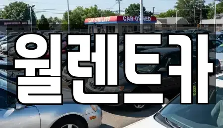 경기 안성시 금산동 렌트카 전문 월렌트카