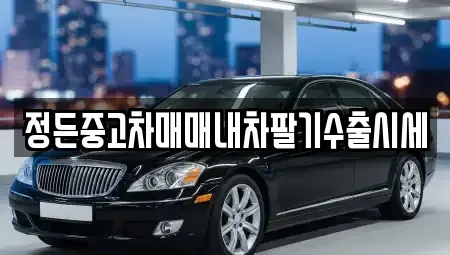경기 안성시 금산동 중고차 전문 정든중고차매매내차팔기수출시세