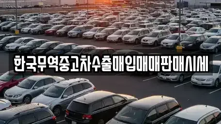 경기 안성시 금산동 중고차 전문 한국무역중고차수출매입매매판매시세