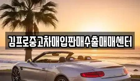 경기 안성시 금산동 중고차매입 전문 김프로중고차매입판매수출매매센터