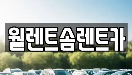 경기 이천시 갈산동 렌트카 전문 월렌트솜렌트카