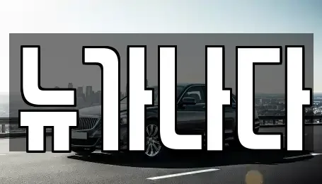 경기 파주시 송촌동 렌트카 전문 뉴가나다