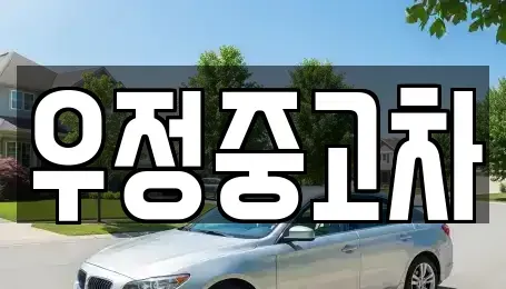 경기 파주시 송촌동 중고차매매 전문 우정중고차