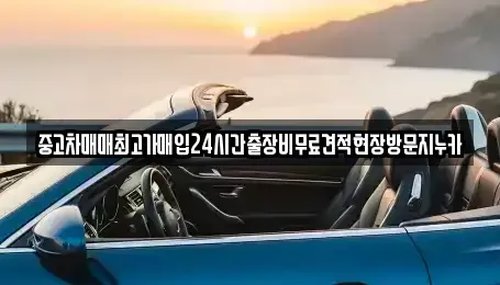 경기 파주시 송촌동 중고차매입 전문 중고차매매최고가매입24시간출장비무료견적현장방문지누카