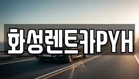 경기 화성시 마도면 렌트카 전문 화성렌트카PYH