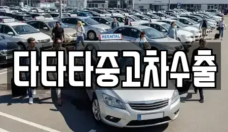 경기 화성시 마도면 중고차 전문 타타타중고차수출
