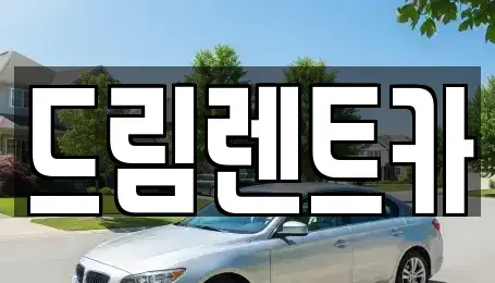 경기도 안산시 단원구 화정동 렌트카 전문 드림렌트카