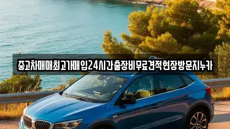 경기도 안산시 단원구 화정동 중고차매입 전문 중고차매매최고가매입24시간출장비무료견적현장방문지누카