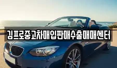 경남 창원시 마산합포구 해운동 중고차매매 전문 김프로중고차매입판매수출매매센터