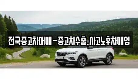 경남 창원시 마산합포구 해운동 중고차매입 전문 전국중고차매매-중고차수출,사고노후차매입