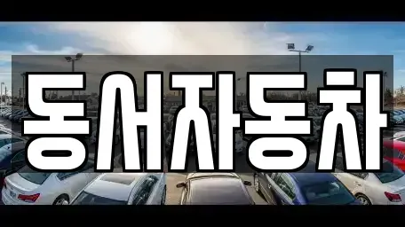 경북 경주시 시래동 중고차 전문 동서자동차