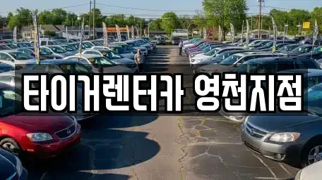 경북 영천시 완산동 렌트카 전문 타이거렌터카 영천지점