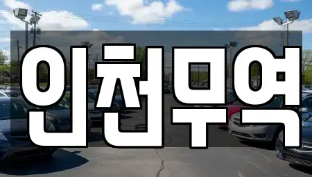 경북 영천시 완산동 중고차매매 전문 인천무역