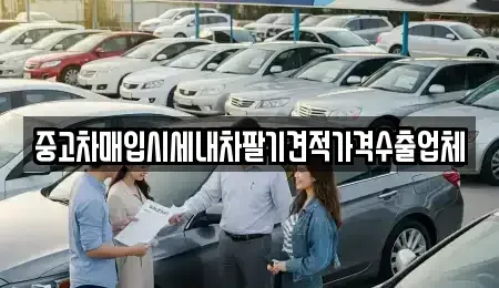 경북 영천시 완산동 중고차매매 전문 중고차매입시세내차팔기견적가격수출업체