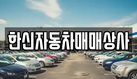 경북 영천시 완산동 중고차매매,단기렌트카,중고차매입,장기렌트카,중고차,렌트카