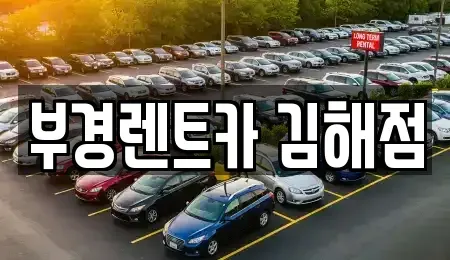 경상남도 김해시 구산동 렌트카 전문 부경렌트카 김해점