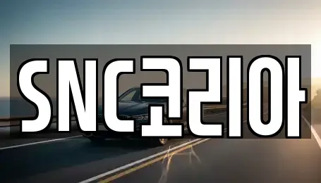 경상남도 김해시 구산동 장기렌트카 전문 SNC코리아
