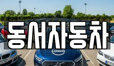 경상남도 김해시 화목동 중고차 전문 동서자동차