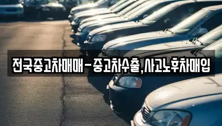 경상남도 김해시 화목동 중고차매입 전문 전국중고차매매-중고차수출,사고노후차매입