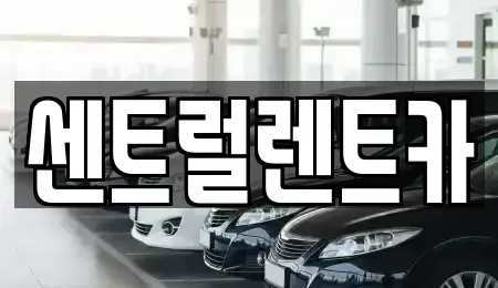 경상남도 밀양시 렌트카 전문 센트럴렌트카