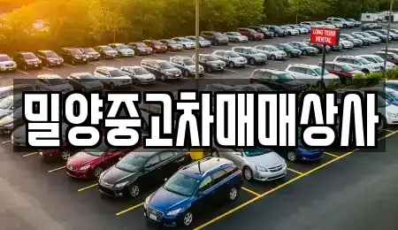 경상남도 밀양시 중고차매매,단기렌트카,중고차매입,장기렌트카,중고차,렌트카