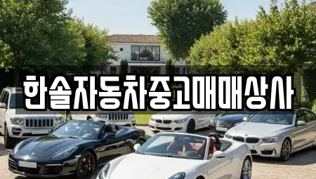 경상남도 밀양시 중고차매매 전문 한솔자동차중고매매상사
